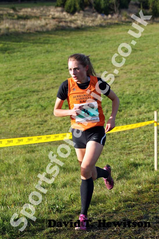Green 8, 2012 Start Fitness North East Harrier League, Cramington.